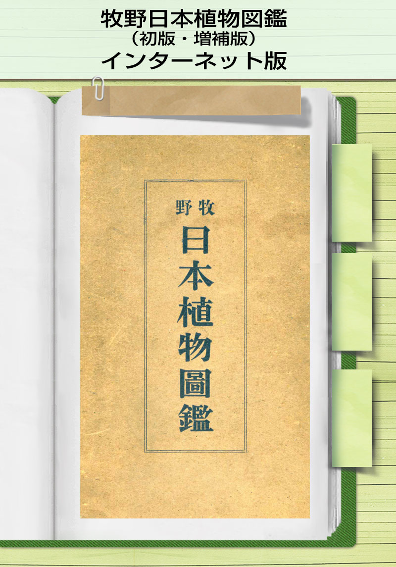 牧野富太郎「図説普通植物検索表表」初版本