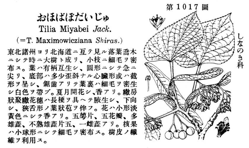 植物図鑑