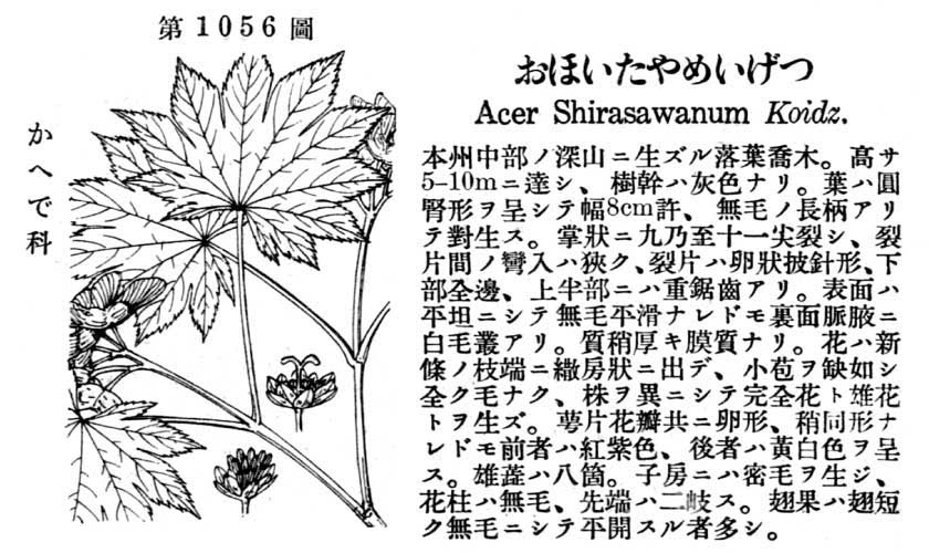 植物図鑑