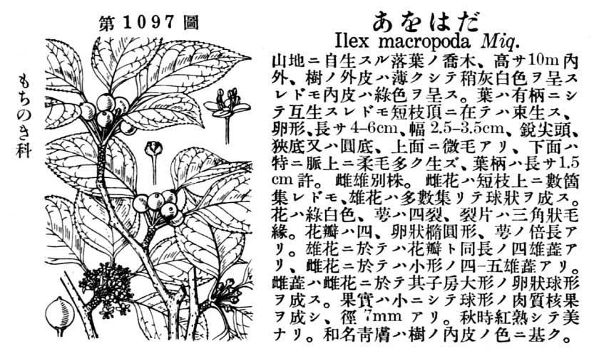 植物図鑑