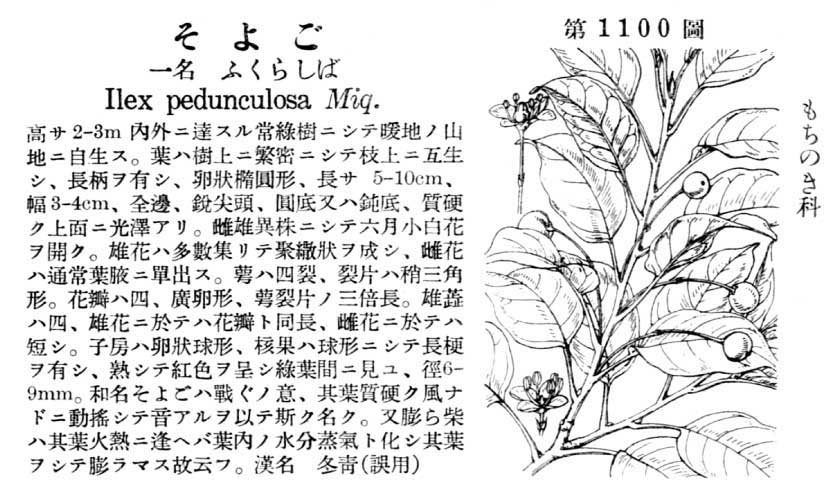 植物図鑑