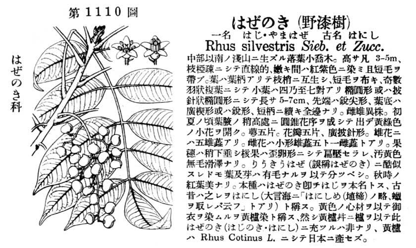 植物図鑑
