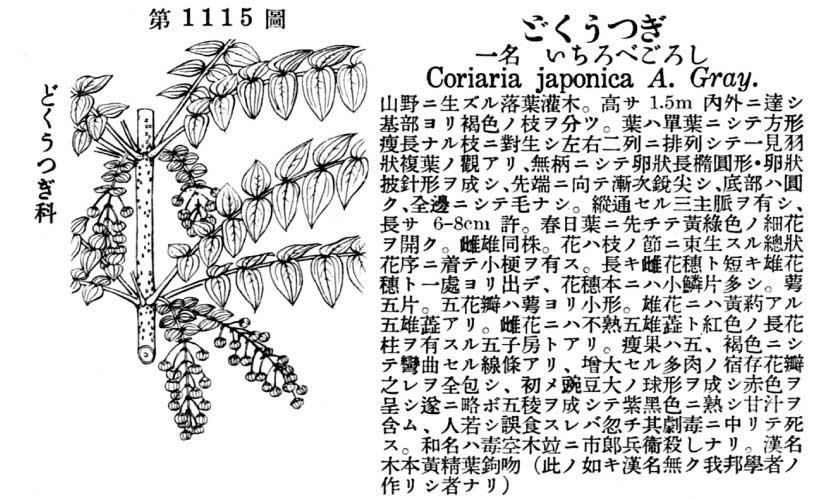 植物図鑑