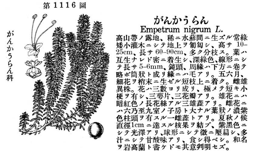 植物図鑑