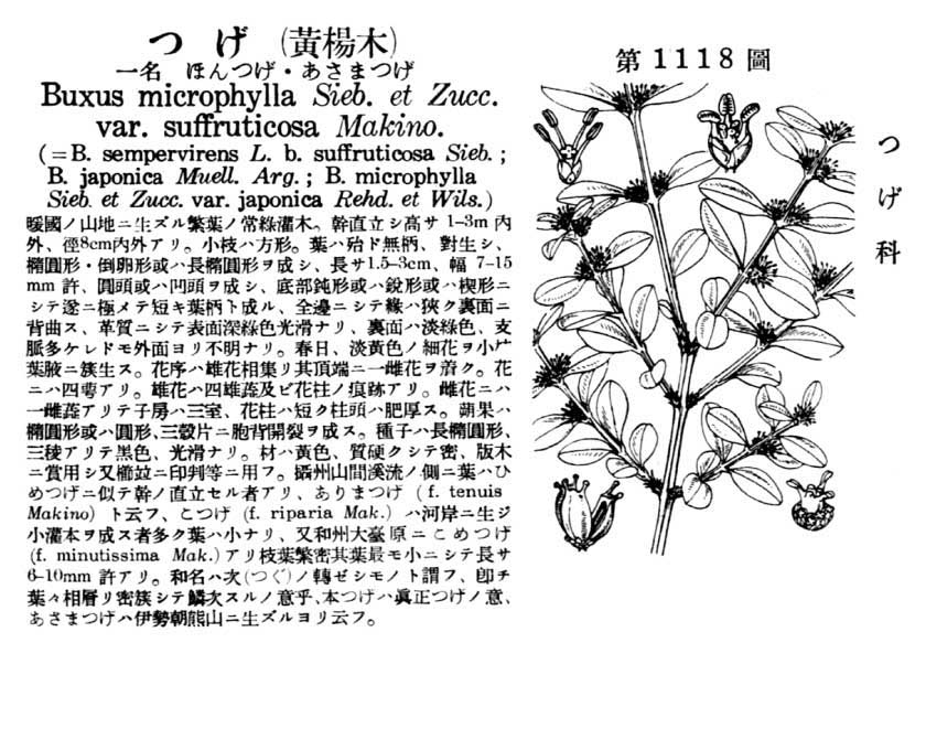 植物図鑑