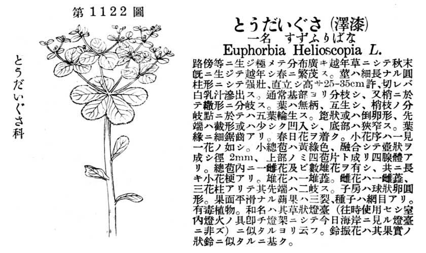 植物図鑑