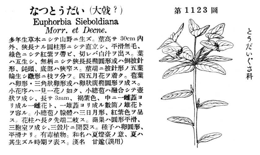 植物図鑑