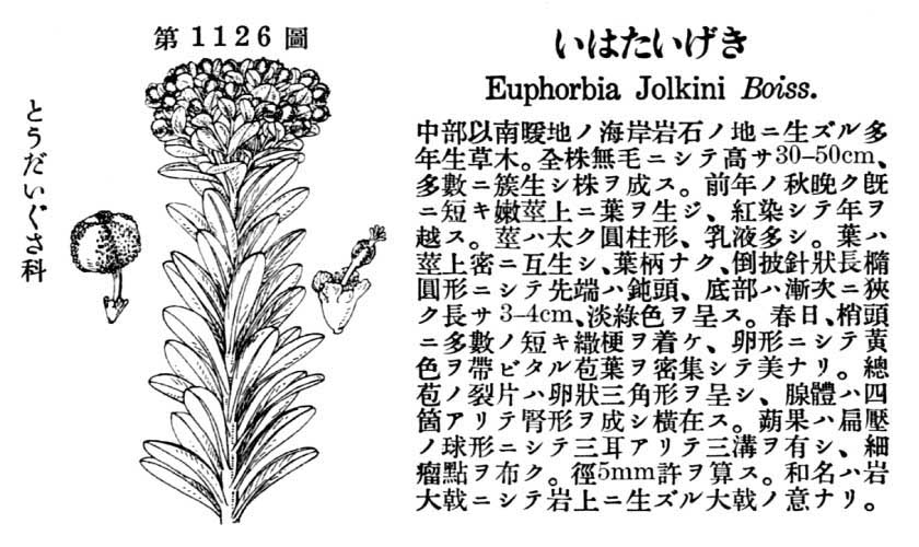 植物図鑑