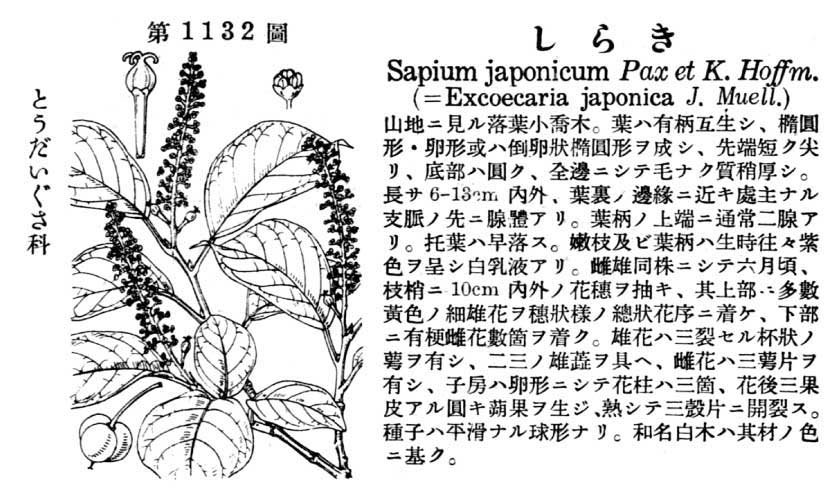植物図鑑