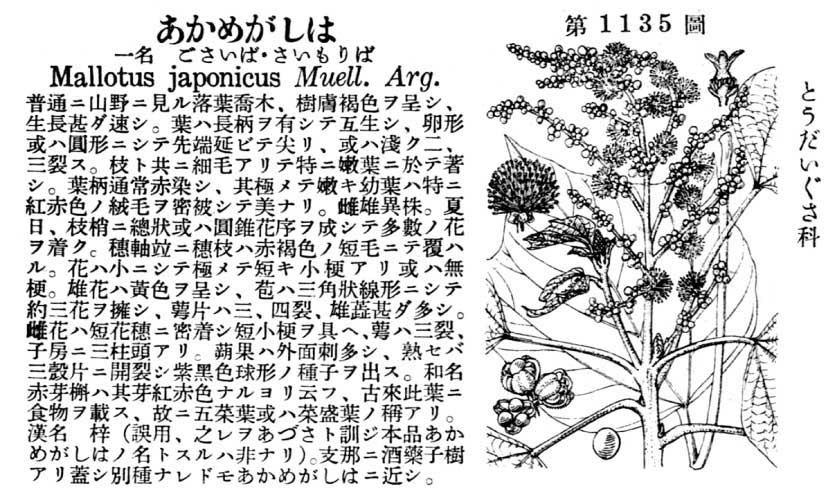 植物図鑑