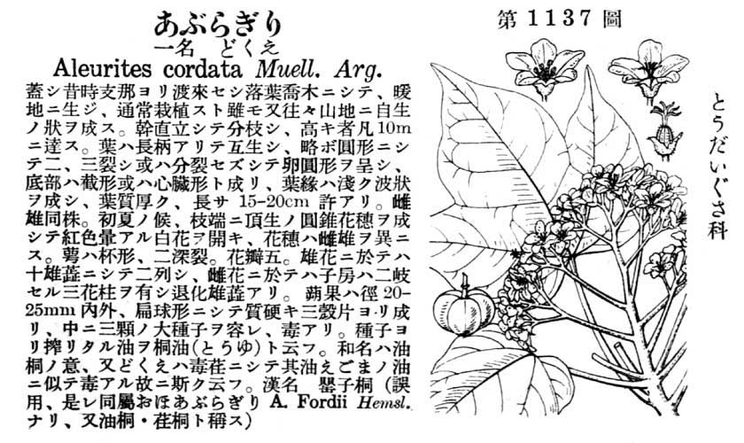 植物図鑑