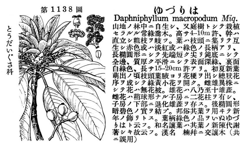 植物図鑑