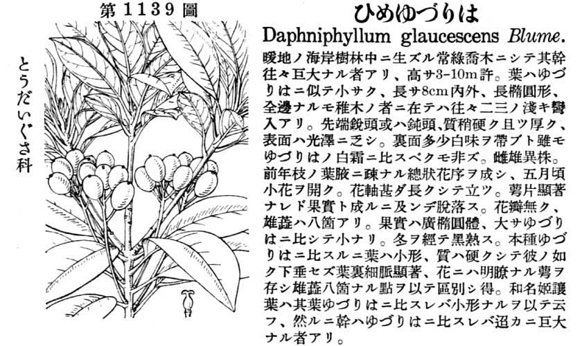 植物図鑑