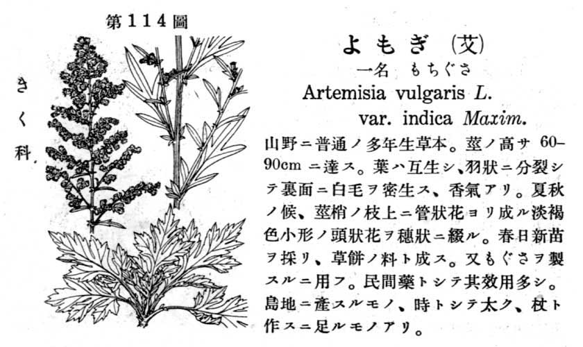 動植物名よみかた辞典 普及版 動植物名よみかた辞典 普及版