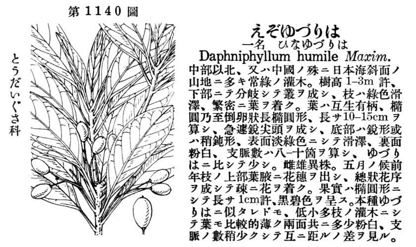 植物図鑑