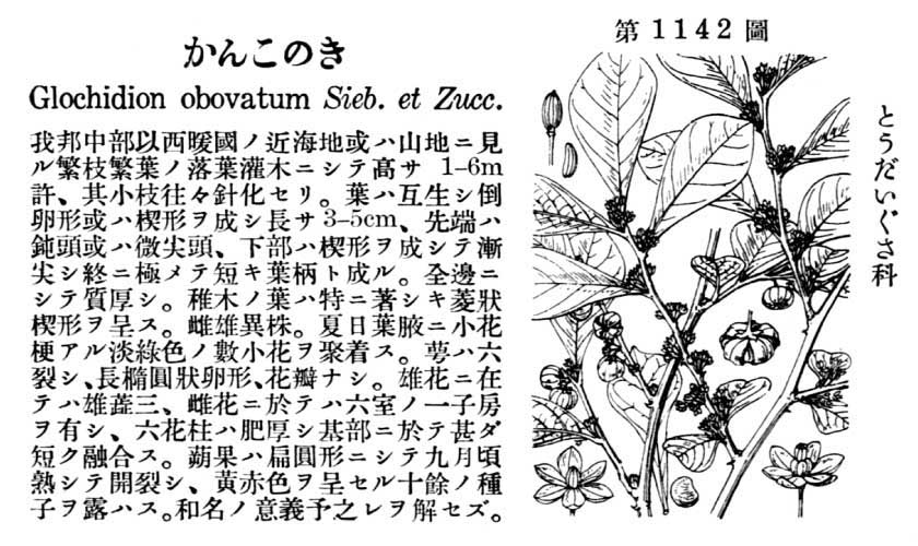植物図鑑