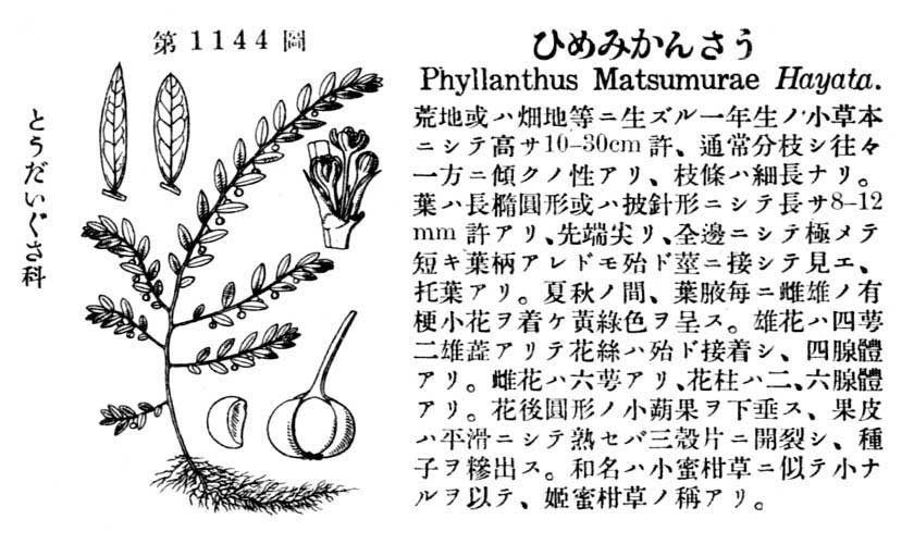 植物図鑑