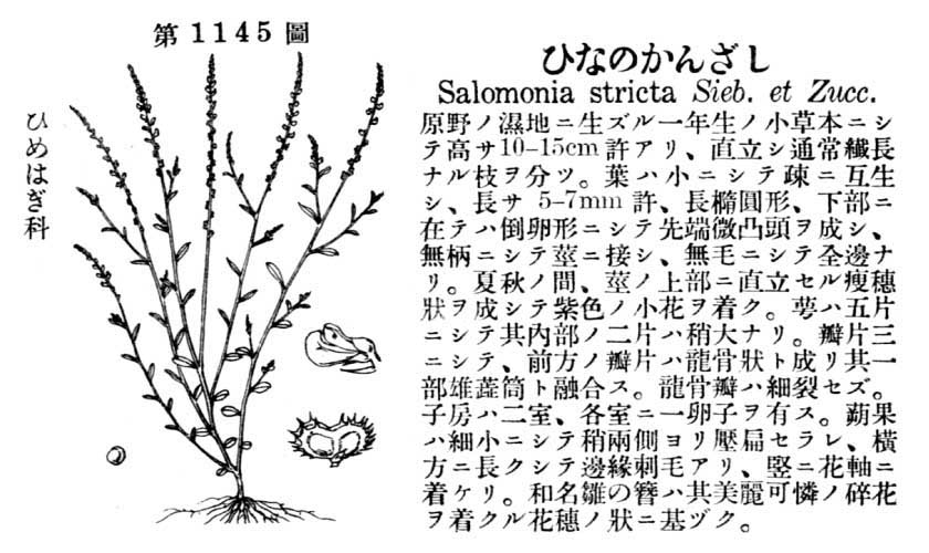 植物図鑑