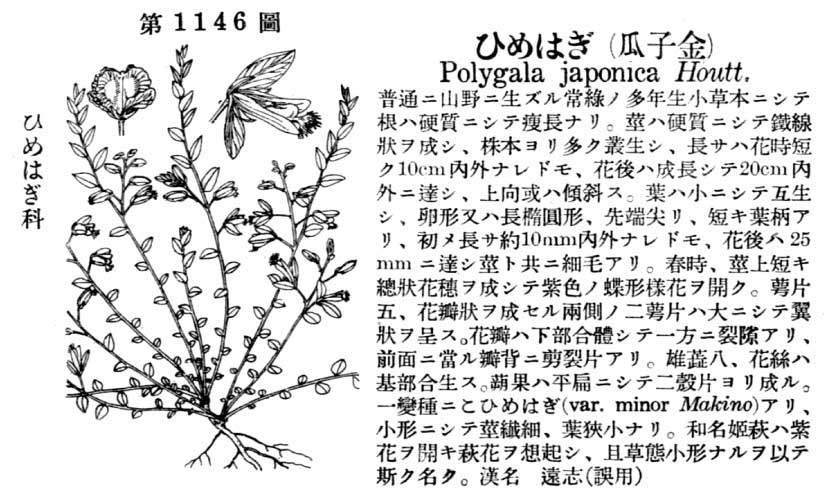 植物図鑑