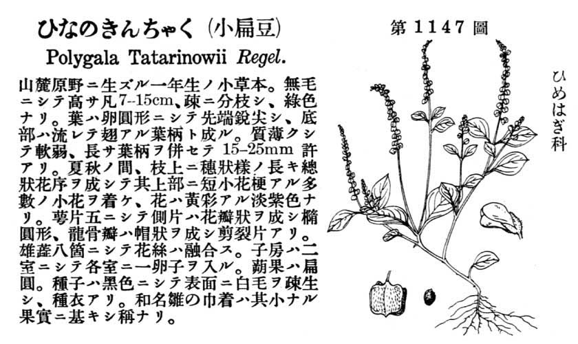 植物図鑑