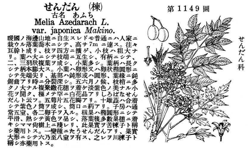 植物図鑑