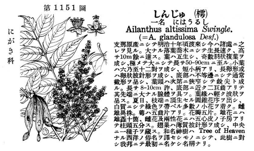 植物図鑑