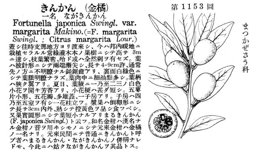 植物図鑑