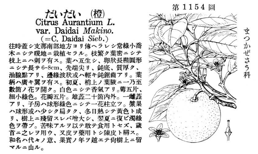 植物図鑑