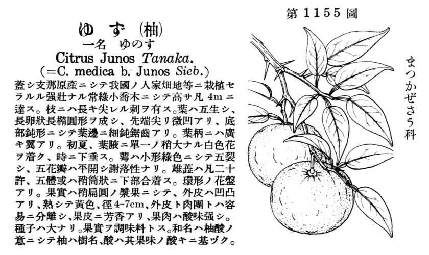 植物図鑑