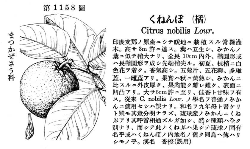 植物図鑑