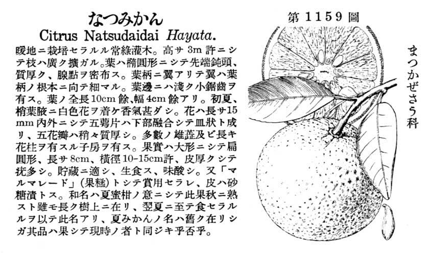 植物図鑑
