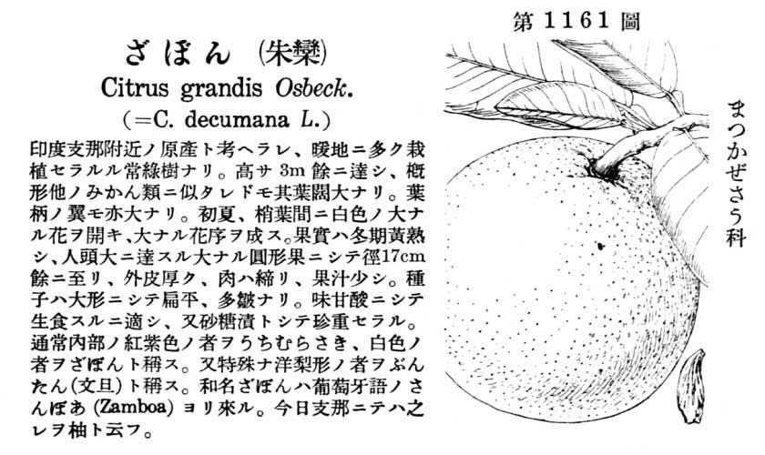 植物図鑑