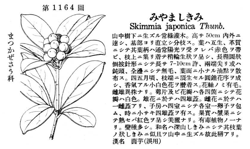 植物図鑑