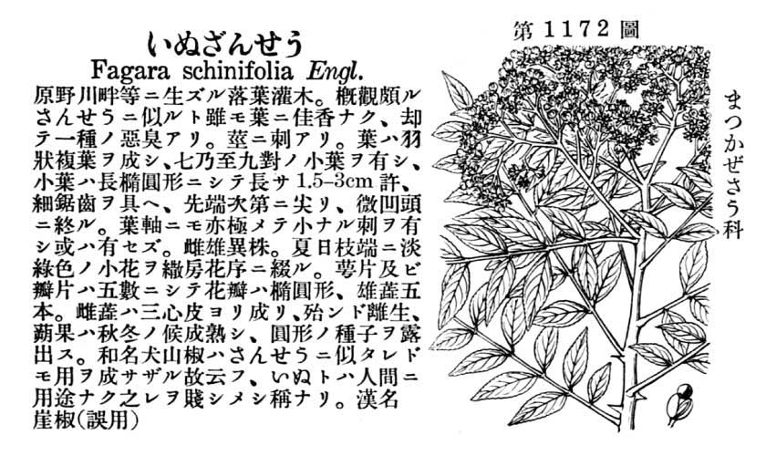 植物図鑑