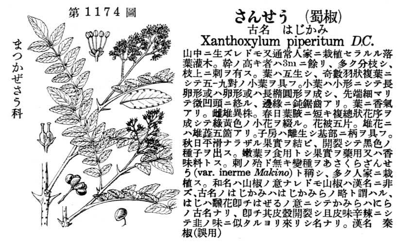 植物図鑑