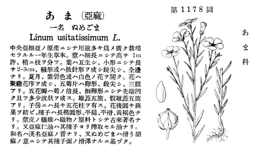 植物図鑑