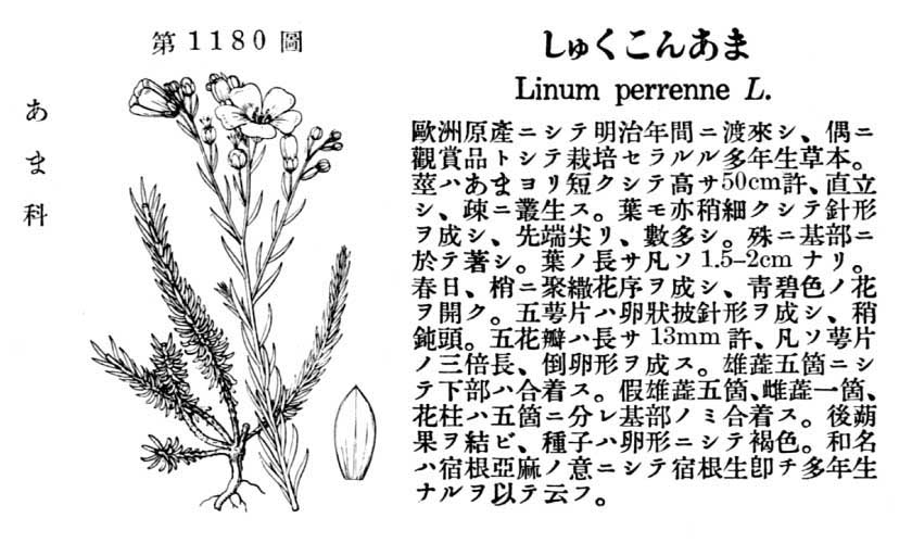 植物図鑑