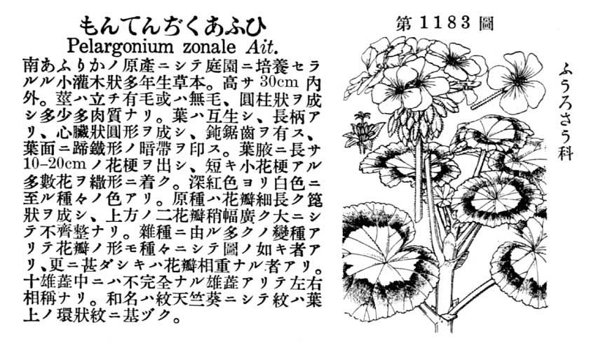 植物図鑑
