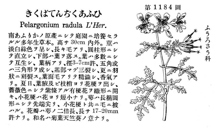 植物図鑑
