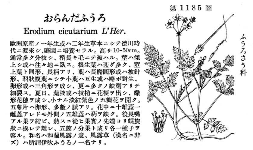 植物図鑑