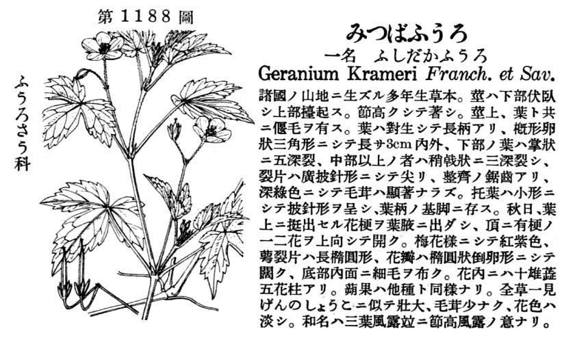 植物図鑑