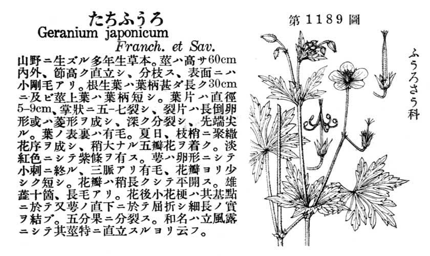 植物図鑑