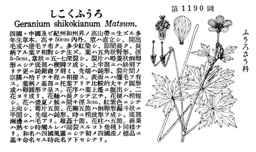 植物図鑑