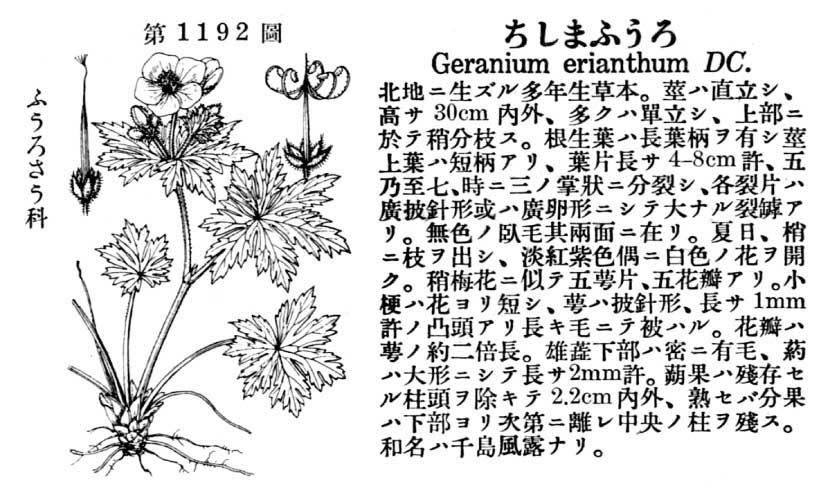 植物図鑑