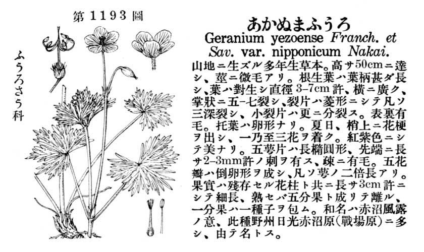 植物図鑑