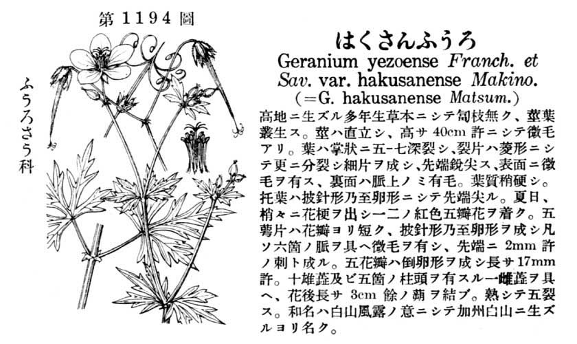 植物図鑑