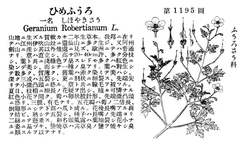 植物図鑑