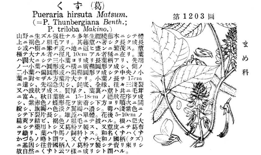 植物図鑑