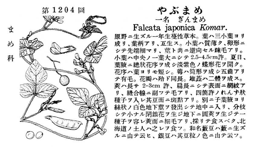 植物図鑑