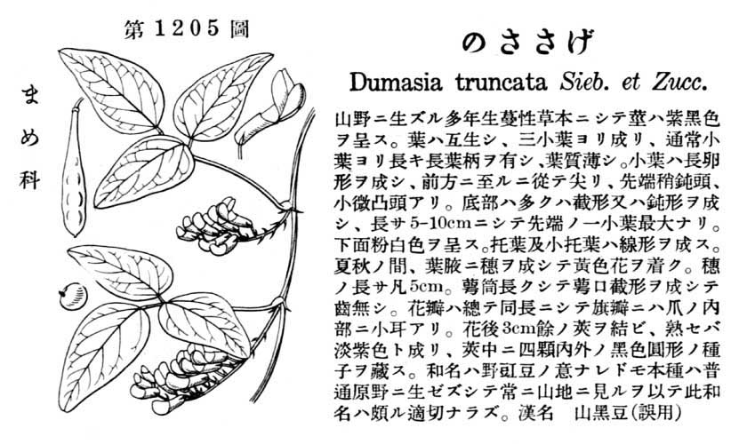 植物図鑑